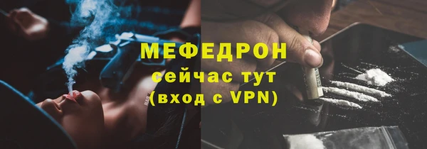 шишки Губаха
