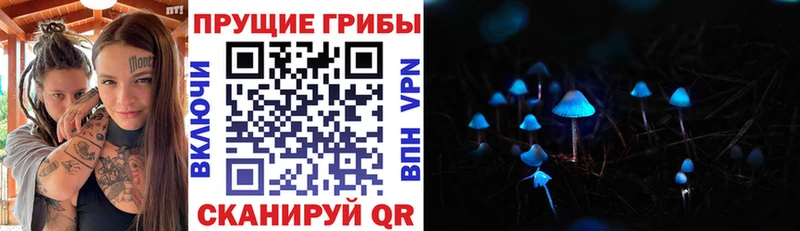 ссылка на мегу зеркало  Петровск  Галлюциногенные грибы прущие грибы 