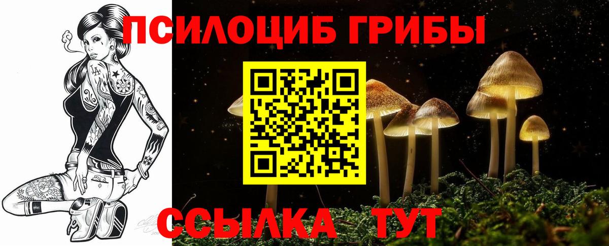 Галлюциногенные грибы MAGIC MUSHROOMS Петровск