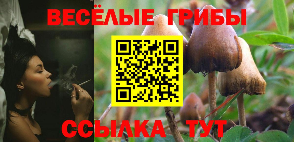 Галлюциногенные грибы Magic Shrooms  Вход с VPN  Галлюциногенные грибы Psilocybine cubensis  Петровск 