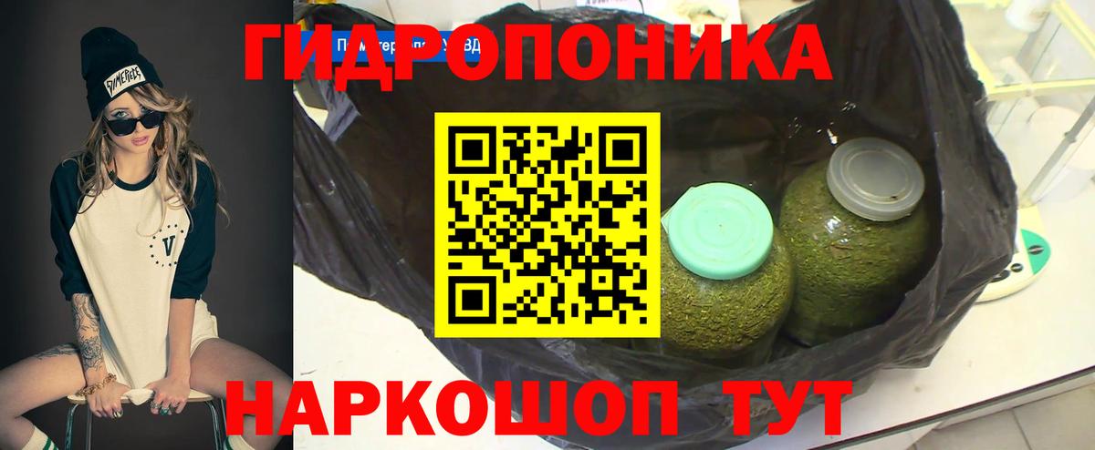 Конопля Bruce Banner  Вход с VPN  Петровск  МАРИХУАНА THC 21%  Шишки марихуана тримм 
